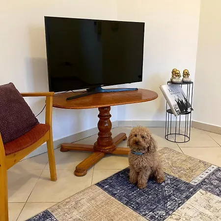 Booklovers Close To Center Appartamento Bratislava