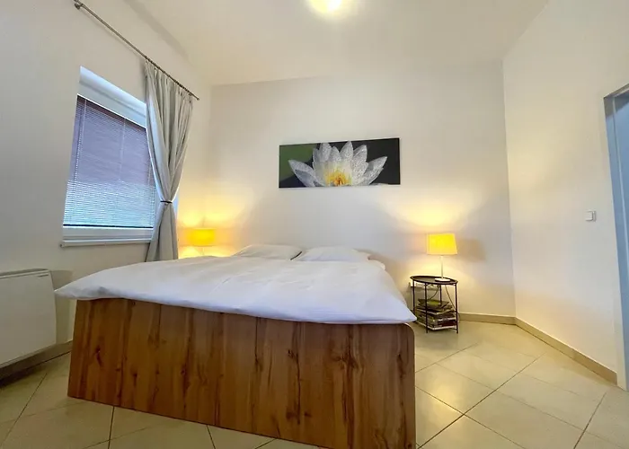 Booklovers Close To Center Apartament