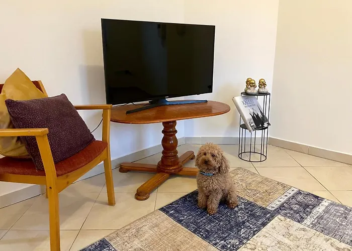 Booklovers Close To Center Lejlighed Bratislava